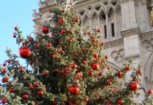 Jak se slaví Vánoce ve Francii