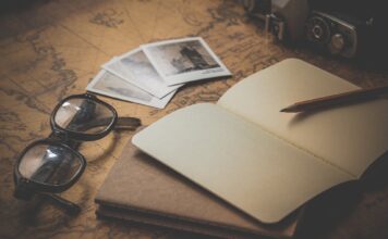 Vzor eseje – Argumentační esej